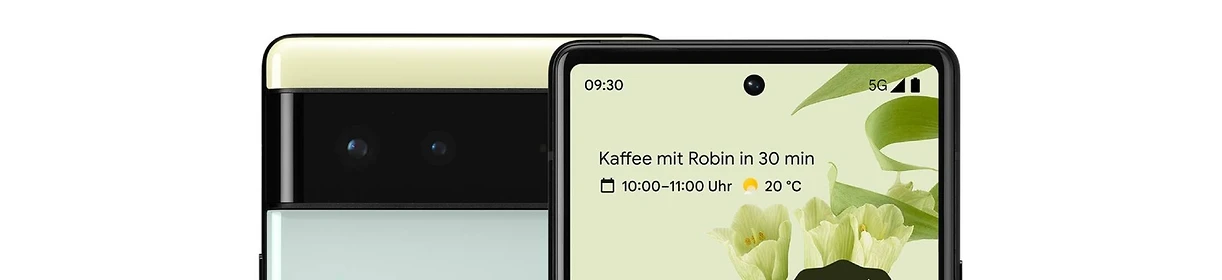  Google Pixel 6 vs Apple iPhone 13
