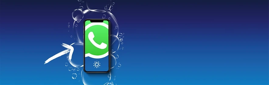  WhatsApp
